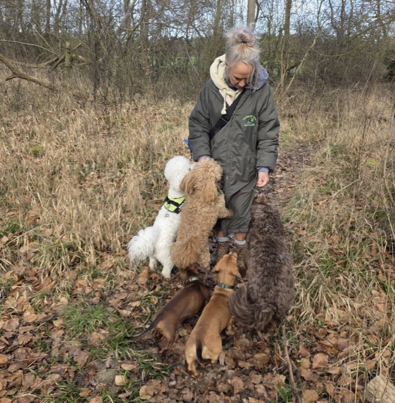 Sandra on a crisp winter woodland walk with the pack