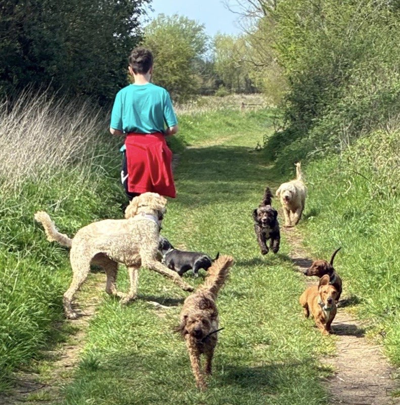 A group adventure down a sunny green lane