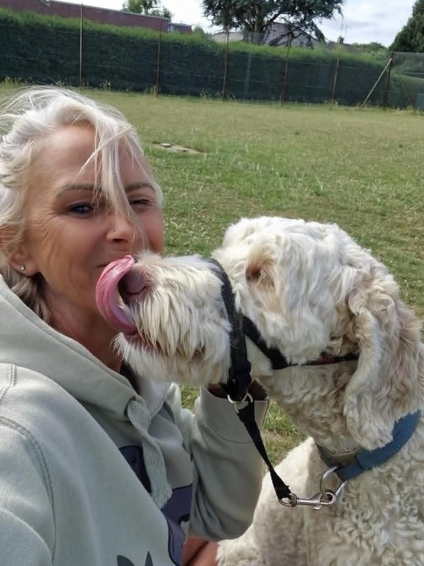 Sandra getting a big lick from a happy cockapoo