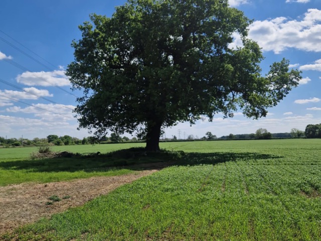 The countryside near Sandra's home in Peterborough