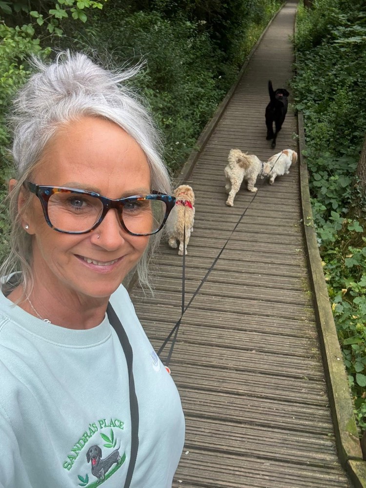 Sandra, Peterborough dog walker, out walking three dogs along a woodland boardwalk